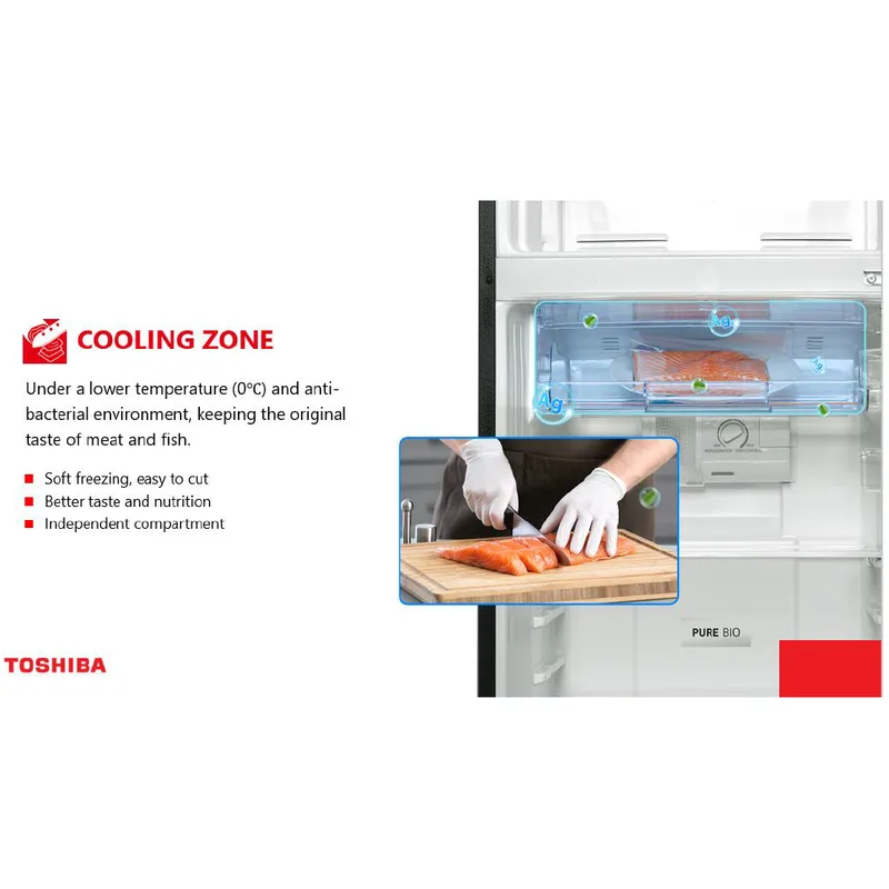 Toshiba GR-RT234WE-PMX(52) 179L 2 Door Fridge