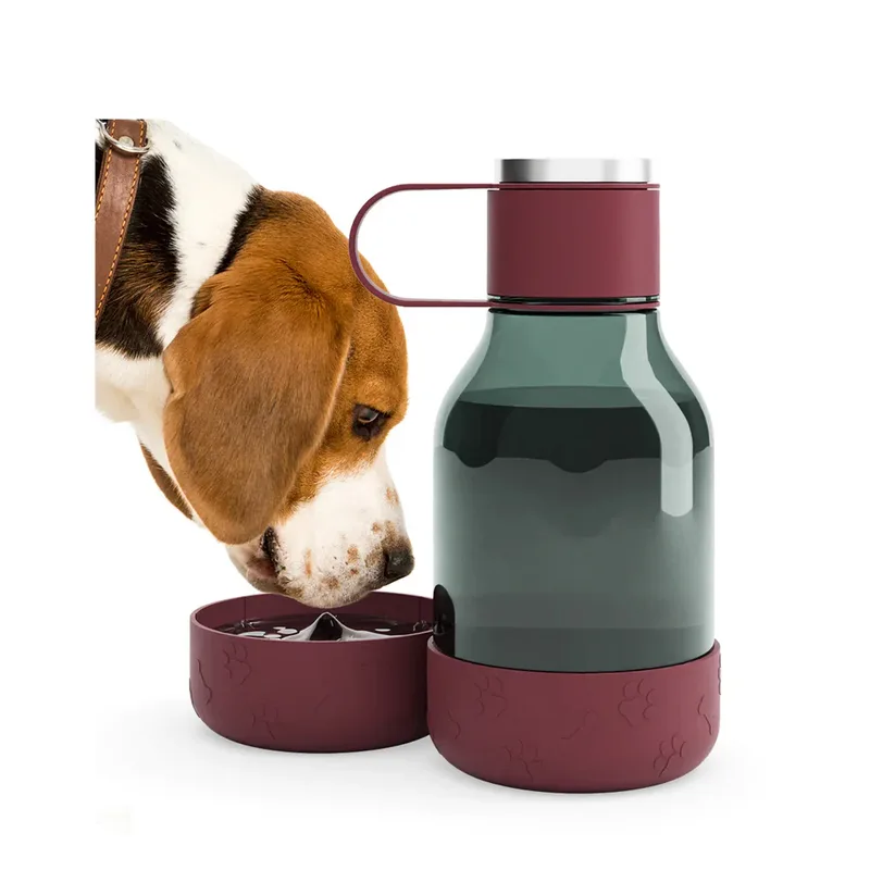 Asobu ATWB20DW 1.5L Tritan Water Bottle With Dog Bowl