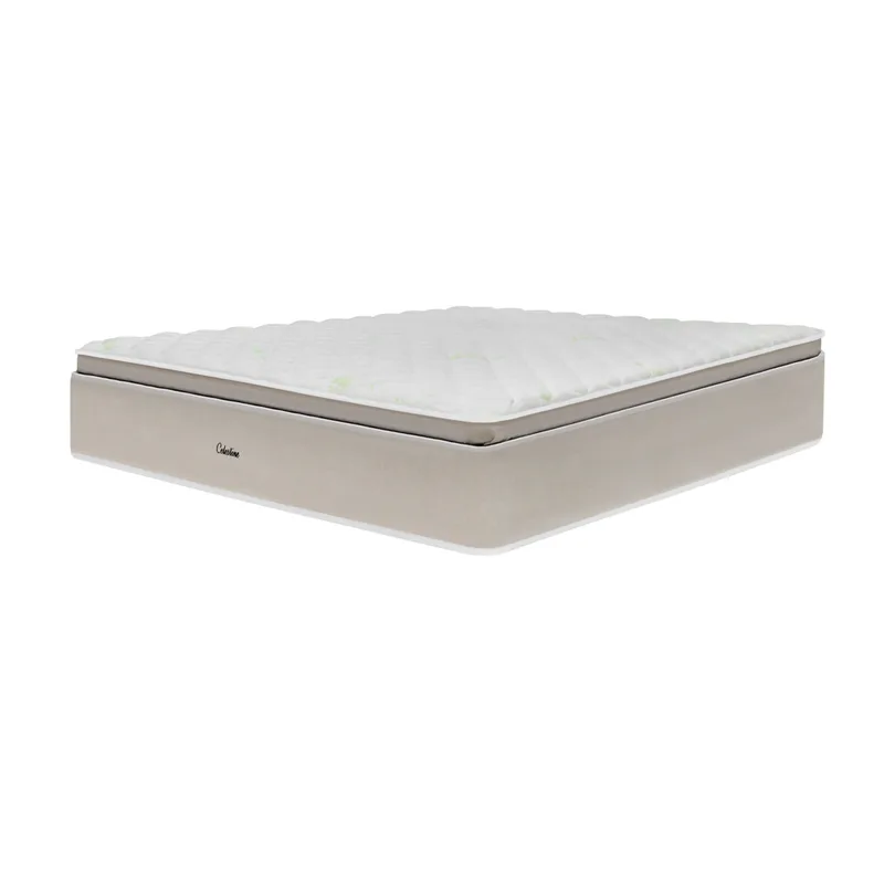 Stylemaster CELESTINE - SINGLE Pocketed Spring Pillow Top Non Flip (aloe Vera)