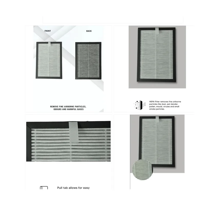 Hepapure REPLACEMENT FILTER HEP-EBFZ1-FIL