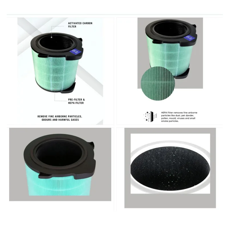 Hepapure REPLACEMENT FILTER HEP-FA31-202GY