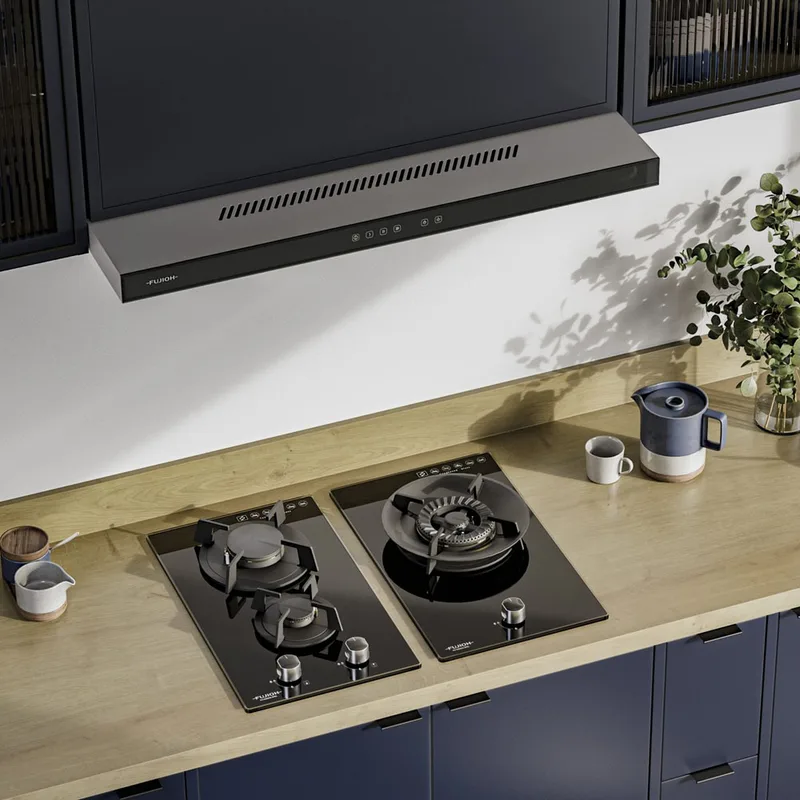 Fujioh FH-GS2525-SVGL Domino Glass Gas Hob (2 Burner)