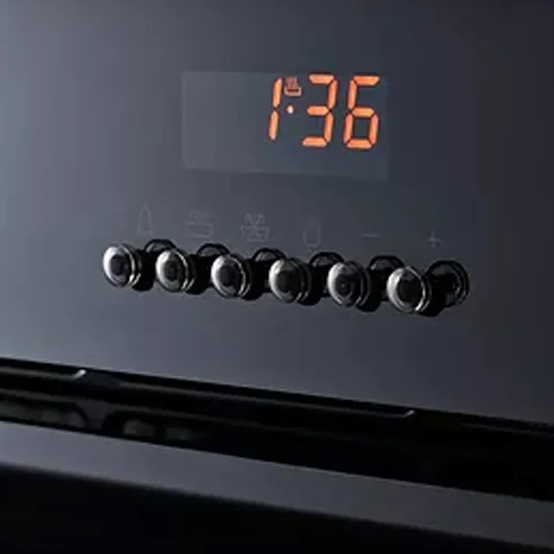 Rinnai RO-E6206XA-EM 70L Built-in Oven