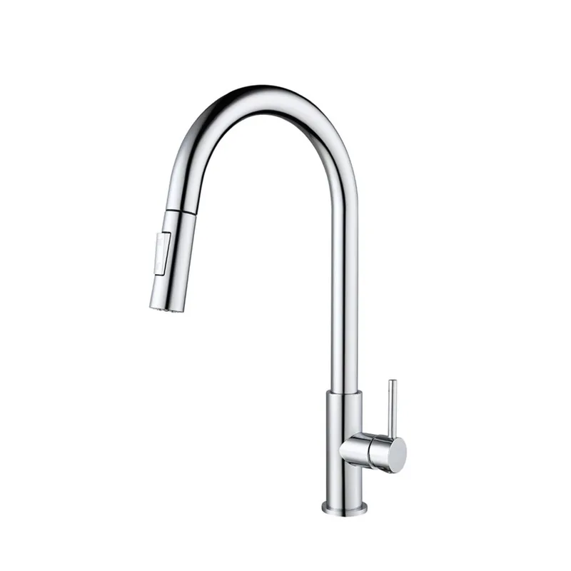 Frascio 506.5.101.SS Stainless Steel Pull-Out Sink Tap