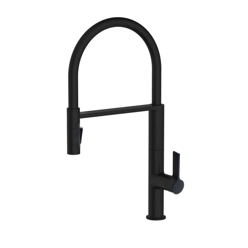 Frascio 105.9.064 Pull-Out Kitchen Mixer (Matt Black)