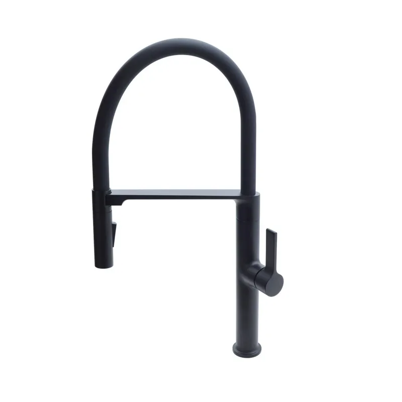 Frascio 105.9.064 Pull-Out Kitchen Mixer (Matt Black)