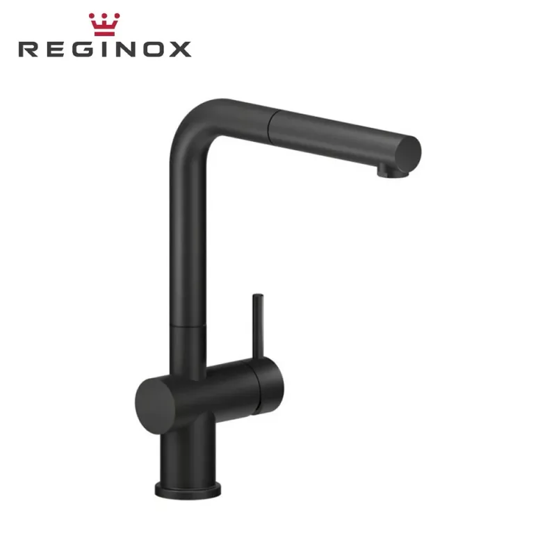 Reginox Cedar Pull-Out Spout Sink Mixer (Black)