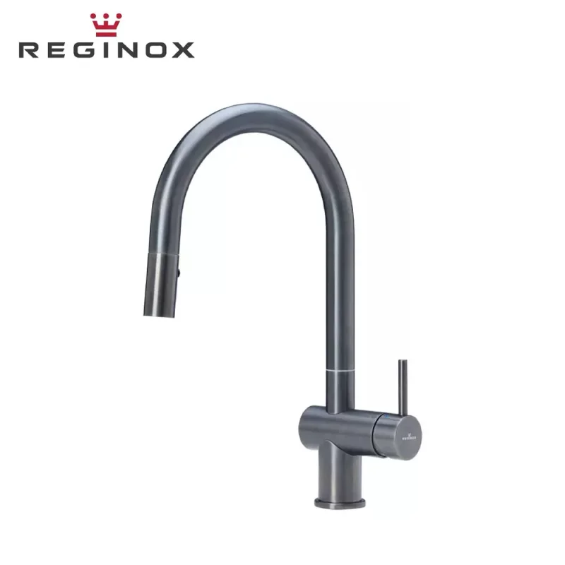 Reginox Flint Pull-Out Sink Mixer (PVD)