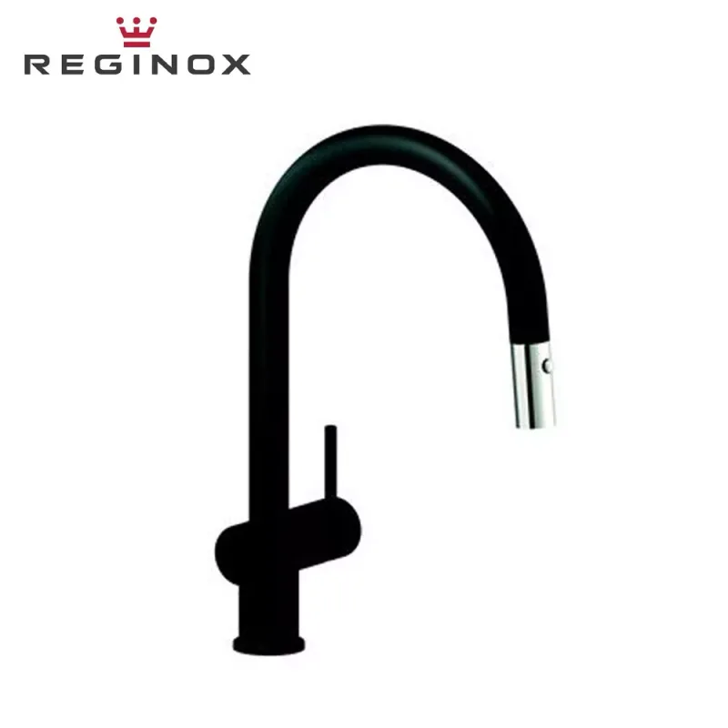 Reginox Flint Pull-Out Spout Sink Mixer (Black)