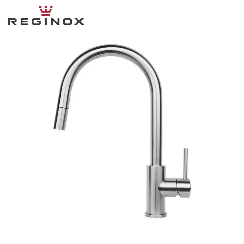 Reginox Huron Pull-Out Spout Sink Mixer (Stainless Steel)