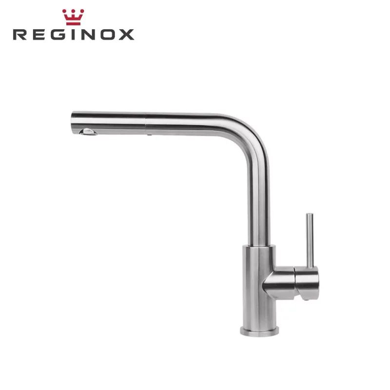 Reginox Palm Pull-Out Spout Sink Mixer (Stainless Steel)