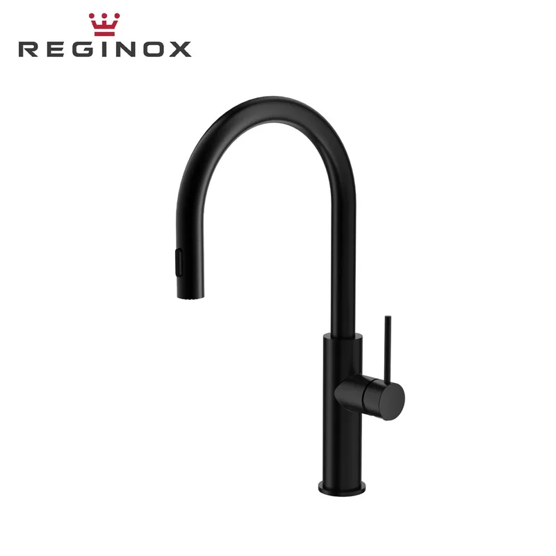 Reginox Stroom DS Sink Mixer with Pull-Out & Dual-Function Spout (Matt Black)