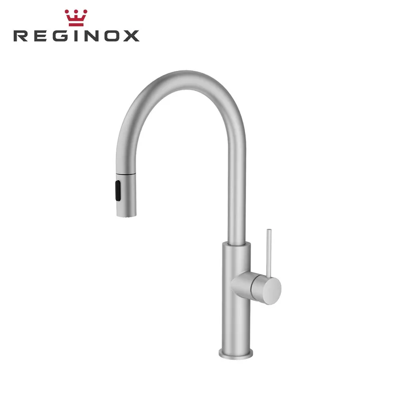 Reginox Stroom DS Sink Mixer with Pull-Out & Dual-Function Spout (Stainless Steel)