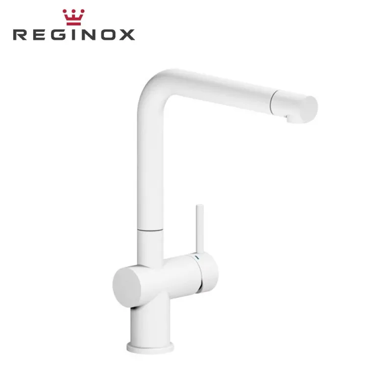 Reginox Yadkin Sink Mixer (Black)