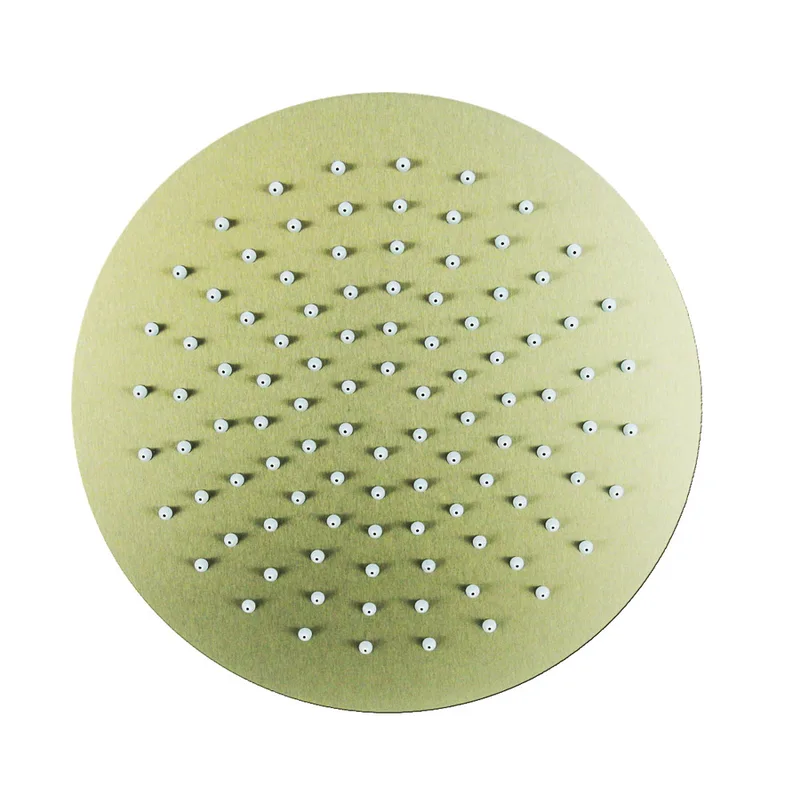 Fidelis FSS-53903-HBG Stainless Steel Overhead Shower (Brushed Gold)