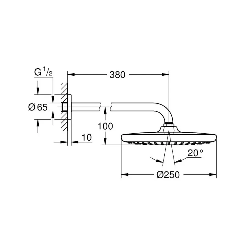 Grohe 26668AL0 Tempesta 250 Overhead Shower (Gun Metal)