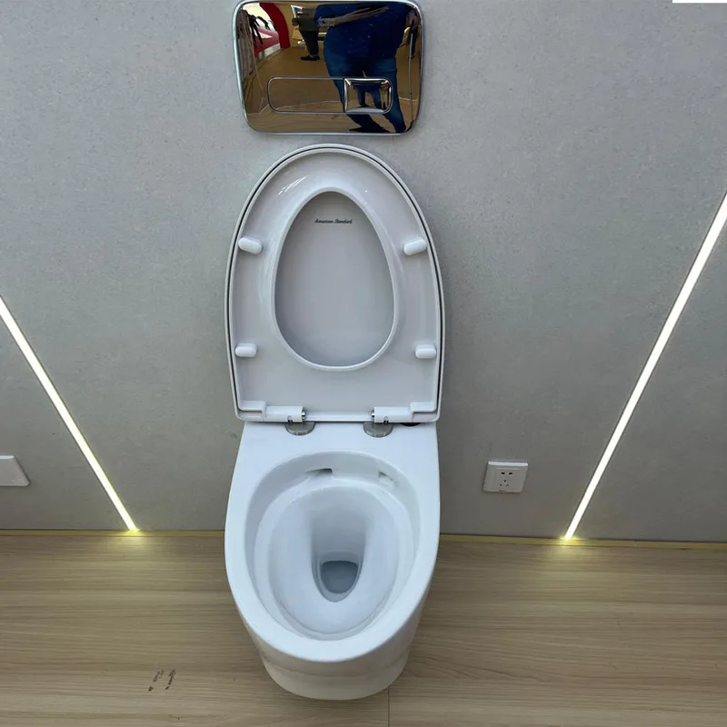 American Standard 1013962080 Loven Wall Hung Water Closet