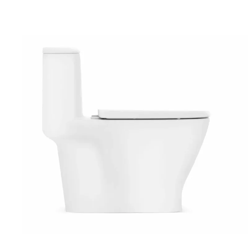 American Standard CCAS1862-1320411S0 Loven One-Piece Toilet