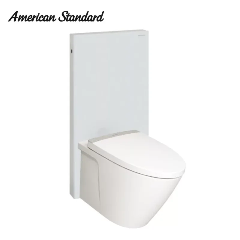 American Standard TF3229 with Geberit Monolith (Black)