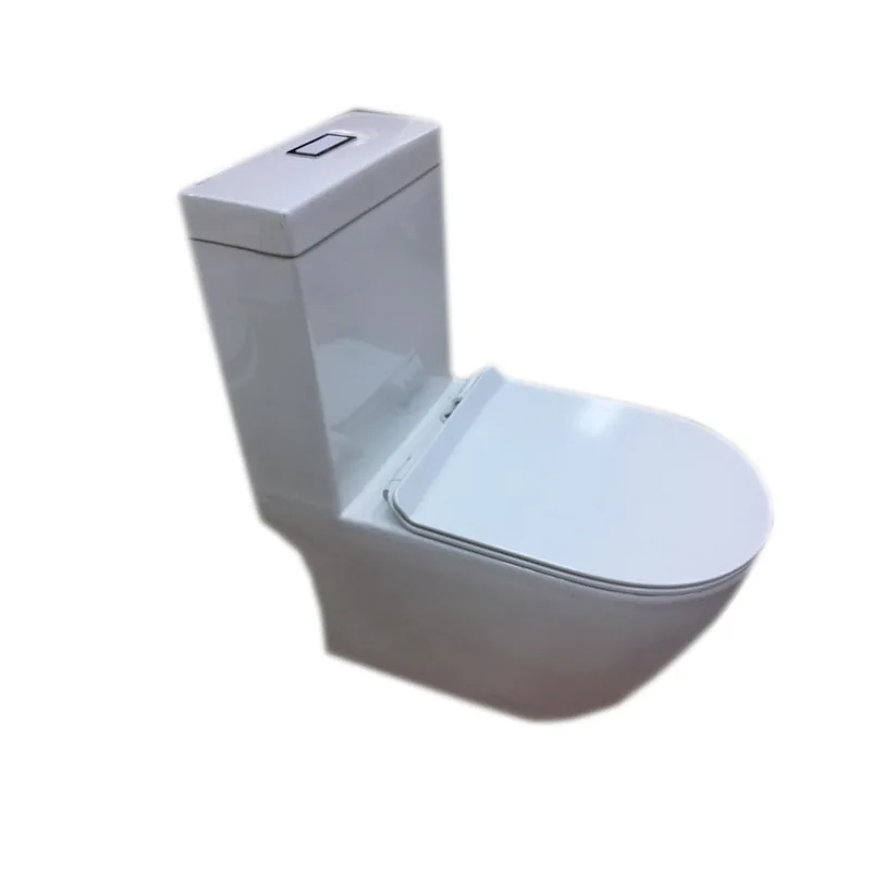 Baron W818 One-Piece Rimless Toilet
