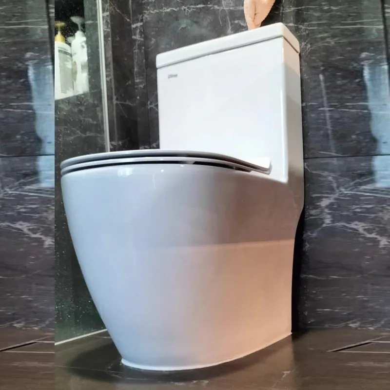 Baron W898 One-Piece Toilet Bowl with Tornado Flushing