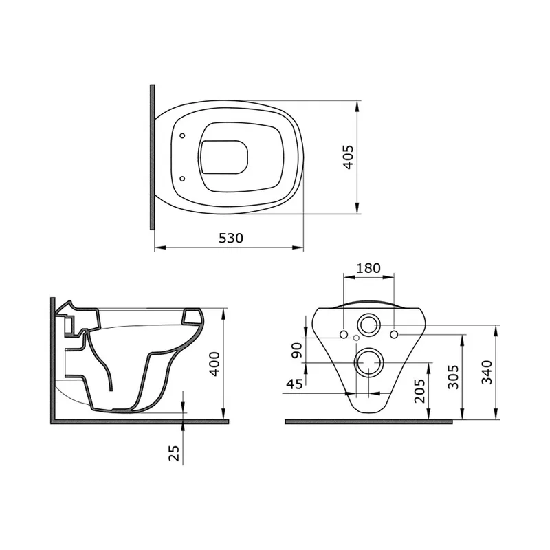 BOCCHI 1166-001-0129 Fenice Rimless Wall Mounted Toilet