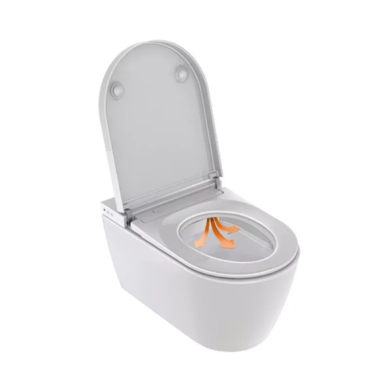 Duravit 650000 SensoWash Starck f Shower Toilet