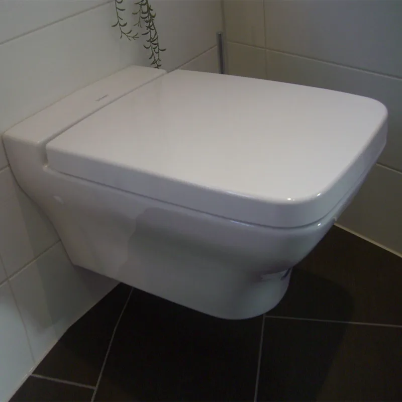 Duravit PuraVida 221909 Wall Mounted Toilet