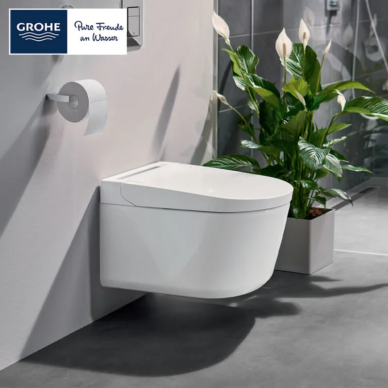Grohe Igina Shower Toilet