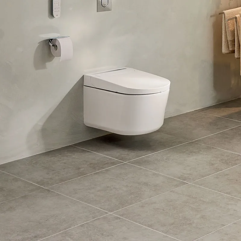 Grohe Igina Shower Toilet