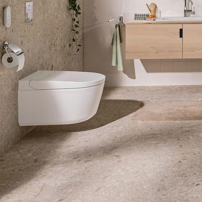 Grohe Igina Shower Toilet