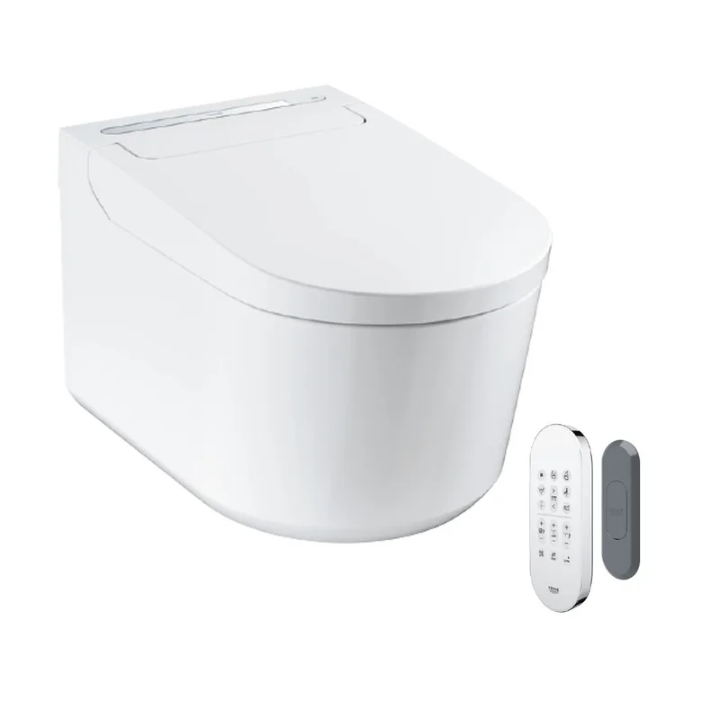Grohe Igina Shower Toilet