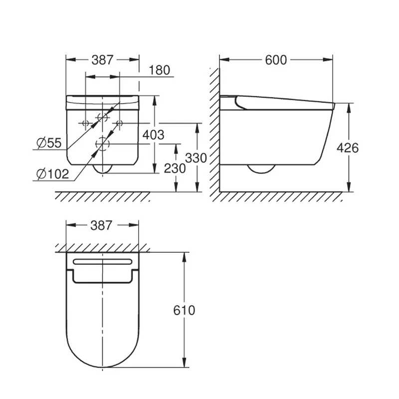 Grohe Igina Shower Toilet