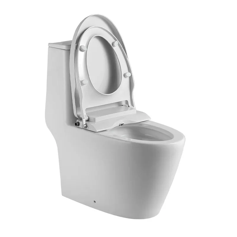 Magnum 919 One-Piece Toilet with Turbo Tornado Flushing