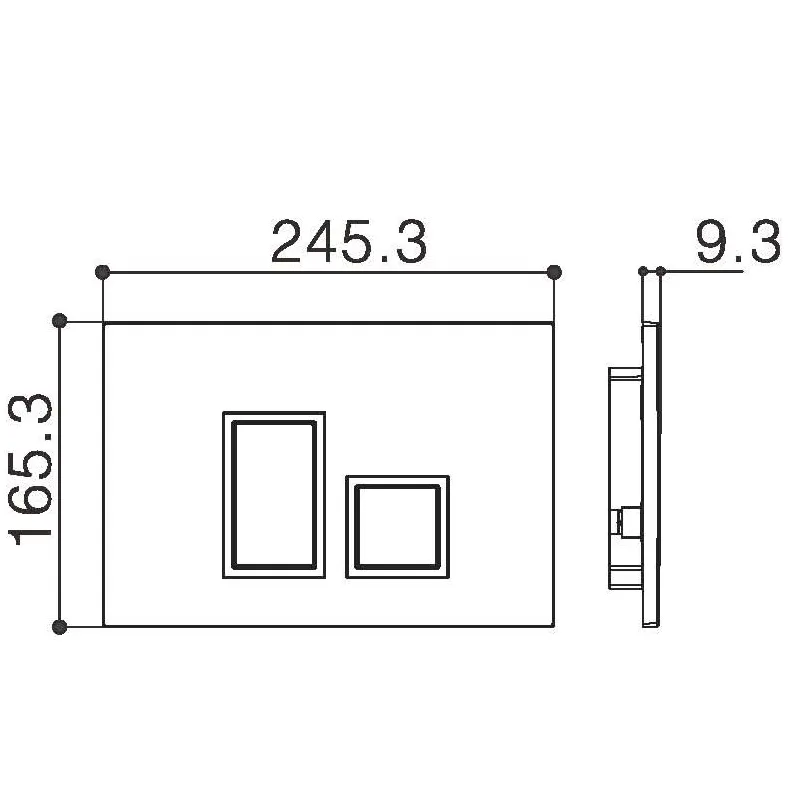 R&T G3004113 Flush Actuator