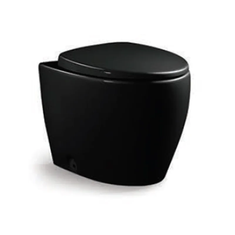 Vera P011 Back-To-Wall Water Closet