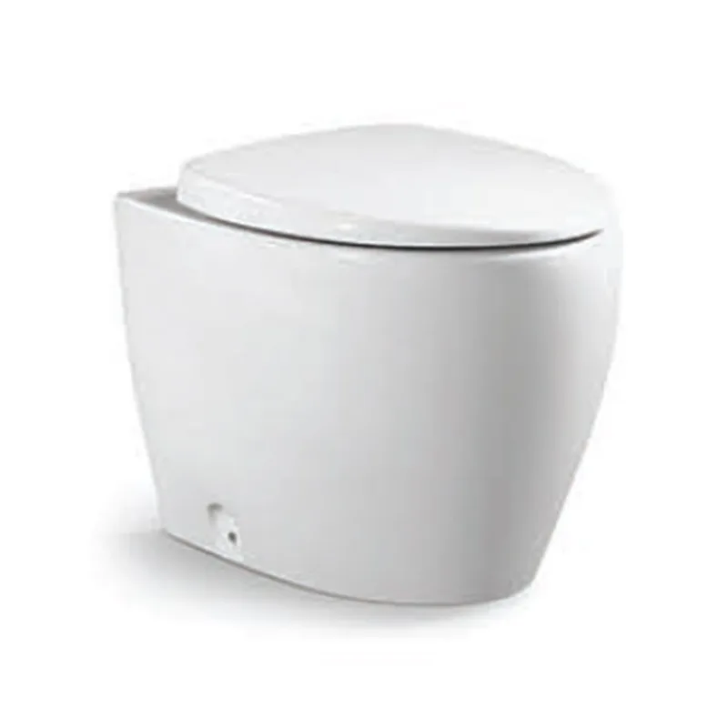 Vera P011T Back-To-Wall Water Closet