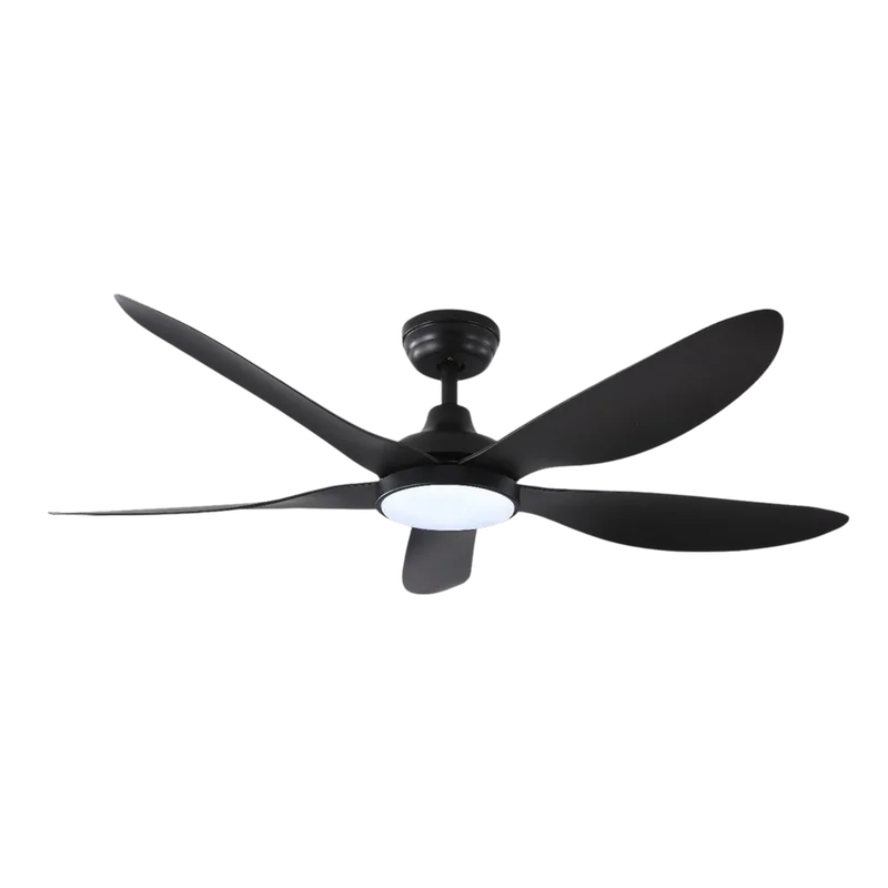 Wind DC Ceiling Fan