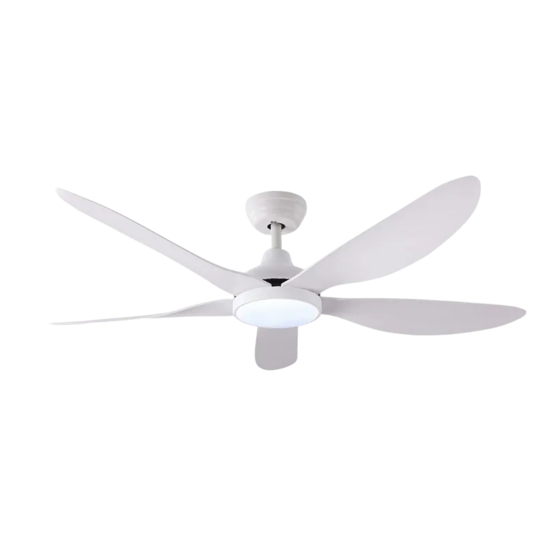 Wind DC Ceiling Fan