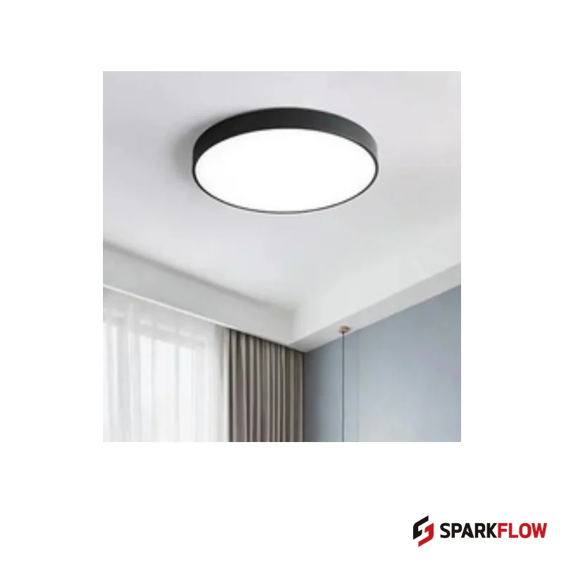 CL-R8342 Ceiling Light — reference product image