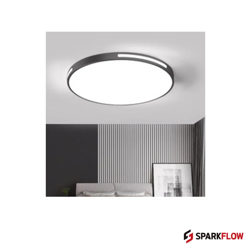 CL-R8343 Ceiling Light — reference product image