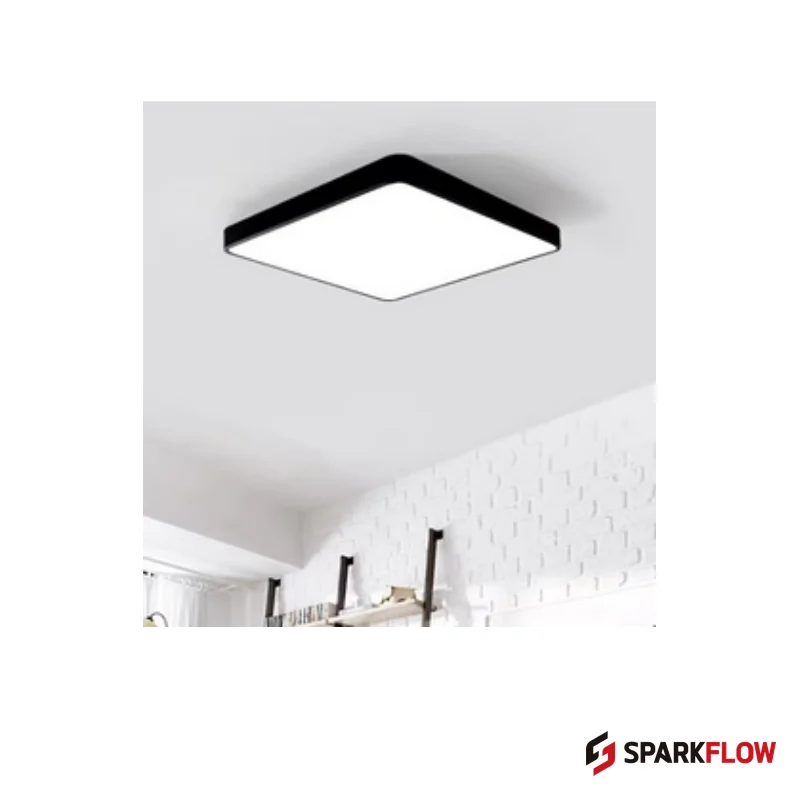 CL-S8342 Ceiling Light — reference product image