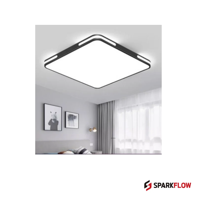 CL-S8343 Ceiling Light — reference product image