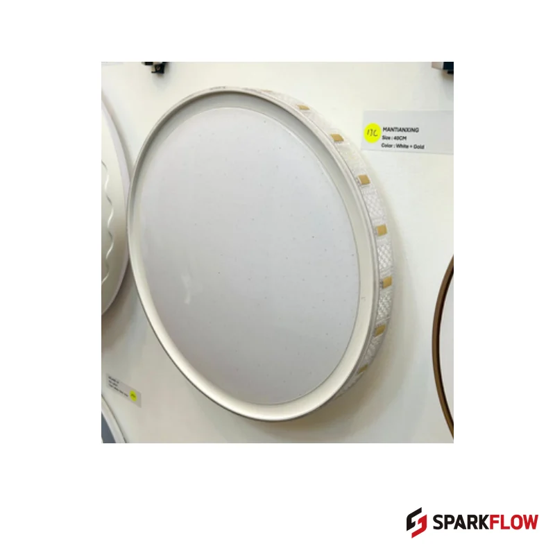 CL-WR8117 Ceiling Light — reference product image