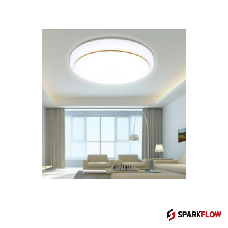 CL-WRG01 Ceiling Light