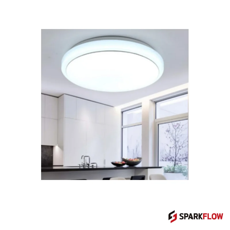 CL-WRS01 Ceiling Light