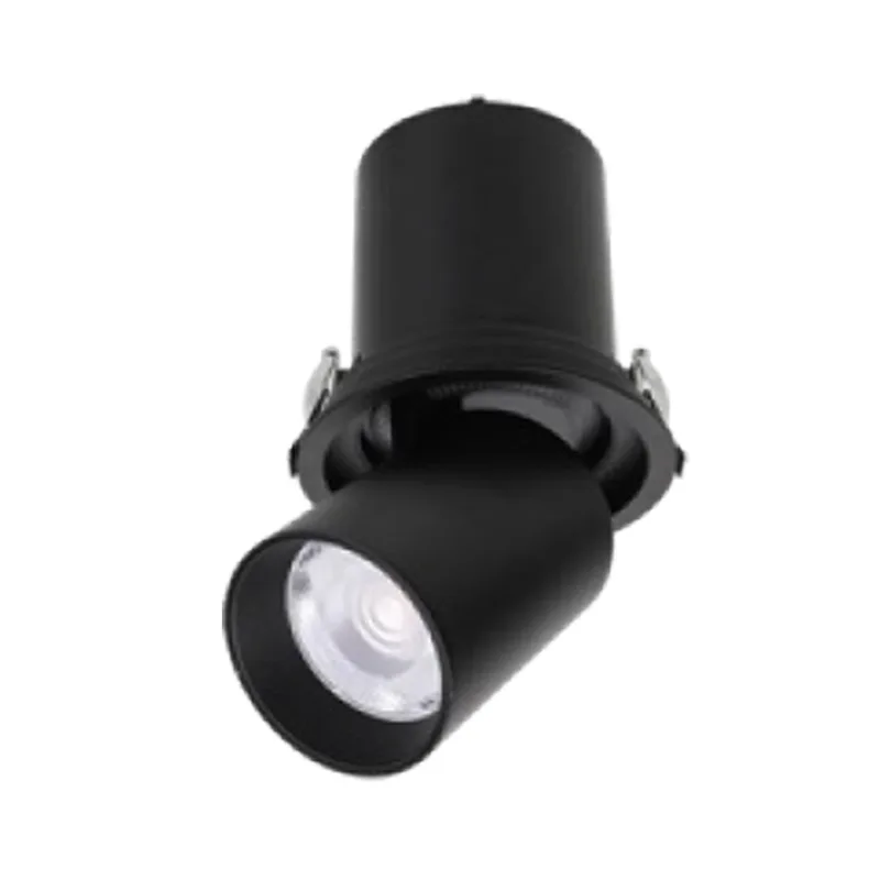 ProFlex Recessed Spotlight