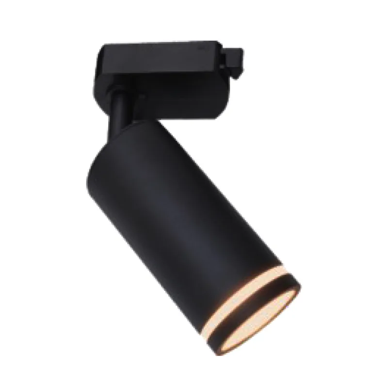 RingBeam Track Light