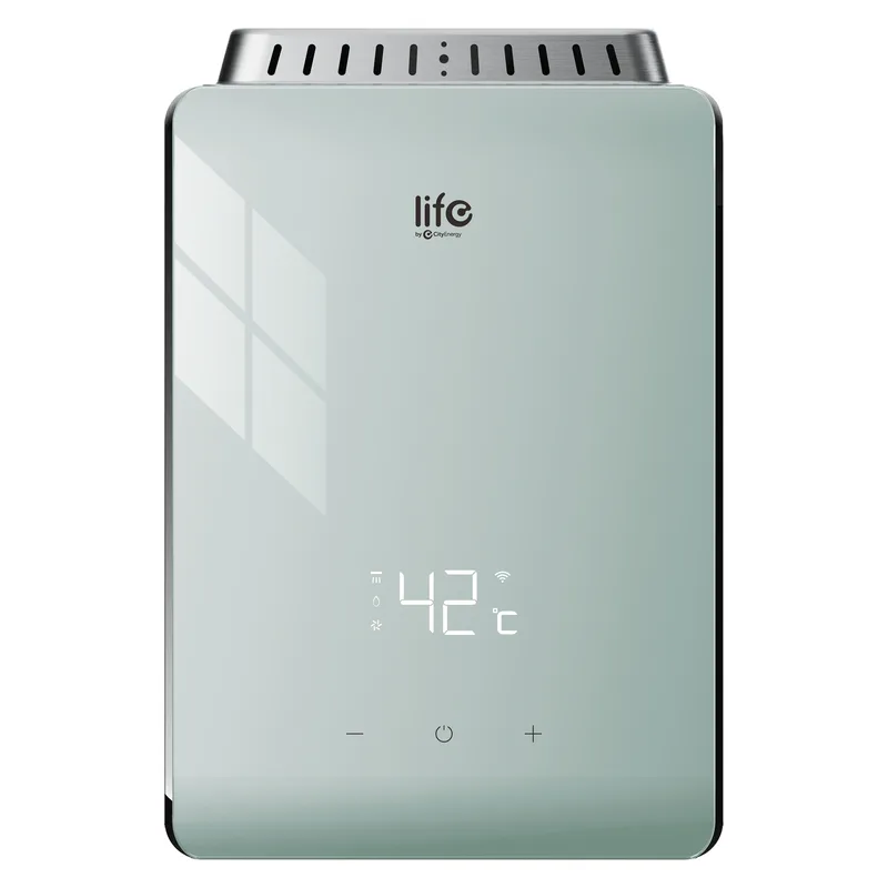 Life Smart Gas Water Heater