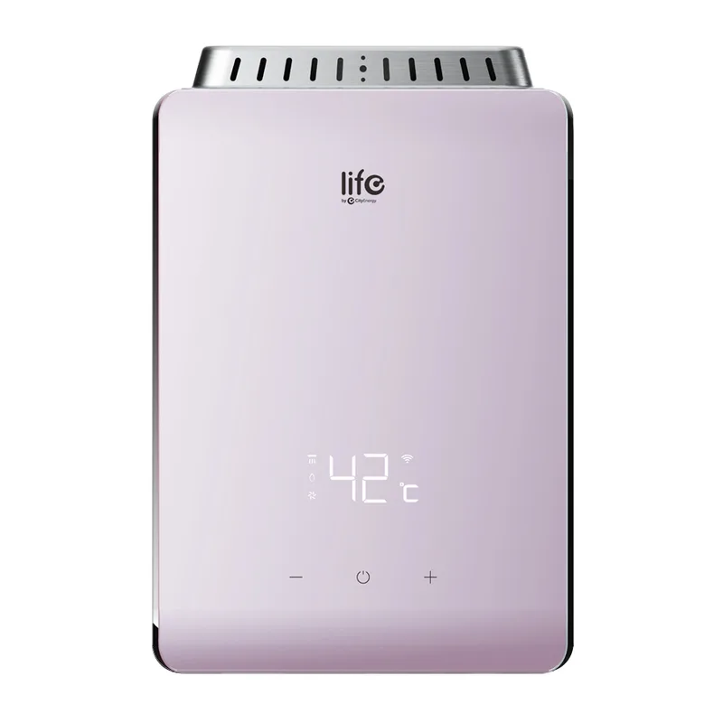 Life Smart Gas Water Heater